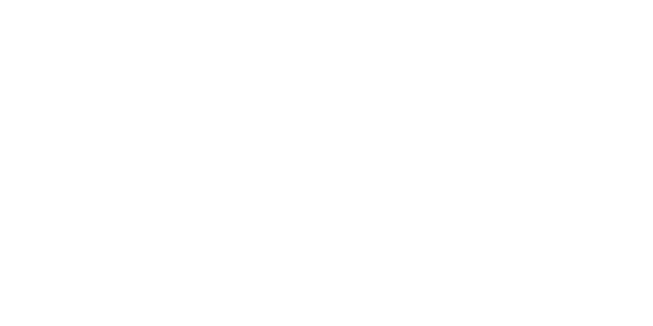 20 Vic Management logo
