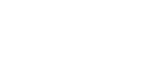 First Gulf logo
